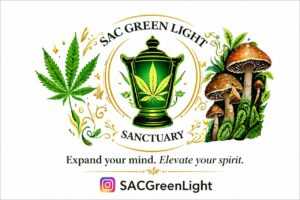 Sac Green Light Sanctuary